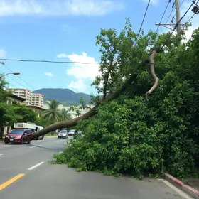interdição na Rio-Santos